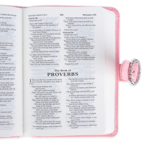 Pink Princess Children’s Holy Bible - Picture 4 of 4